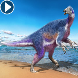 اكتشاف نوع جديد من الديناصورات في اليابان.. وهكذا بدا! فيديو
