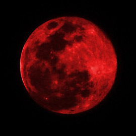 أول خسوف لعام 2022: السماء تتزين بظاهرة القمر الدموي ليلة الغد