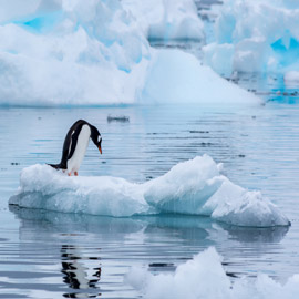 الأرض مهددة بانهيار مناخي بسبب ارتفاعات غير مسبوقة للحرارة في القطب  ..
