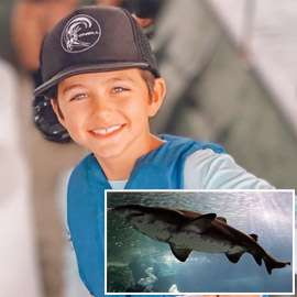 بتر ساق طفل في فلوريدا.. بعد نجاته من هجوم سمكة قرش