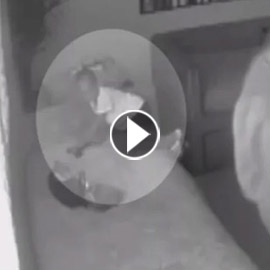 فيديو صادم للحظات رعب قاتلة.. طفلة (3 سنوات) تطلق النار على نفسها!