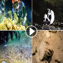 اكتشاف متاهة متخفية تحت مياه حضارة المايا المكسيكية تضج بالحياة..  ..