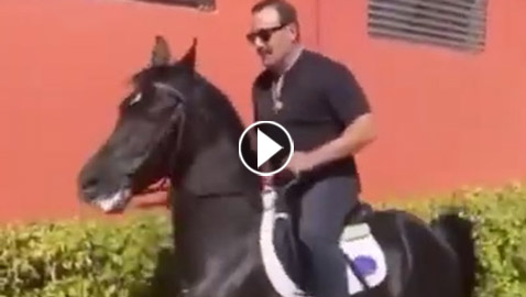 فيديو طريف: احمد السقا يرقص مع حصانه بشكل مذهل على انغام “الغزالة رايقة”