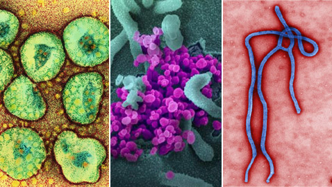 هل نحن على موعد مع وباء جديد؟.. العلماء يتخوفون من 3 فيروسات!