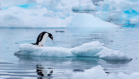 الأرض مهددة بانهيار مناخي بسبب ارتفاعات غير مسبوقة للحرارة في القطب الشمالي