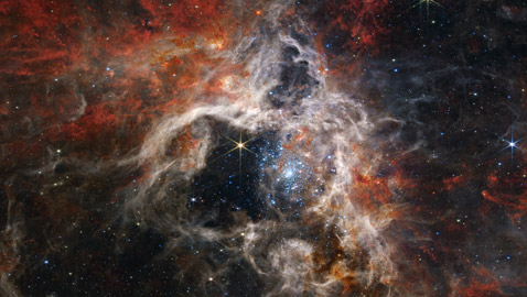 صور مذهلة من الفضاء.. شاهدوا أين تولد النجوم في سديم الرتيلاء