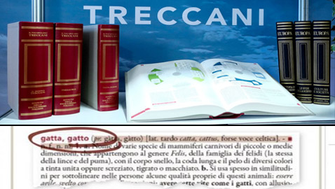 قاموس يواجه التحيز في اللغة الإيطالية.. سيضم الصيغ المؤنثة لأول مرة