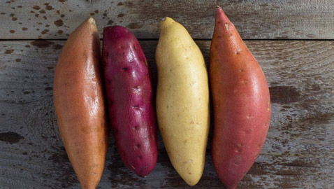 البطاطا الحلوة.. أصناف وألوان بفوائد جمة
