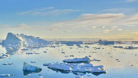 كيف يتشكل جليد البحر من مياه عذبة بينما المحيطات مالحة؟