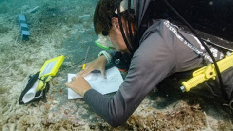 العثور على مقبرة تحت الماء في فلوريدا بعد 162 عاماً