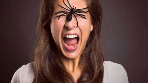 9 حقائق مرعبة عن رهاب العناكب !