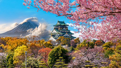 نصائح ومعلومات هامة للمسافرين عند السياحة في اليابان