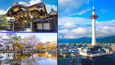 السياحة في اليابان.. زيارة إلى مدينة كيوتو الجميلة على مدار العام