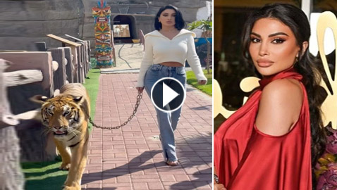 فيديو: مذيعة لبنانية تتمشى مع نمر.. وتفاجئ الجمهور!
