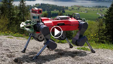 فيديو: روبوت رباعي الأرجل يقفز كالغزال في سويسرا